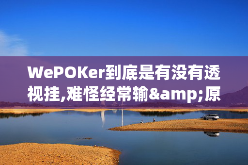 WePOKer到底是有没有透视挂,难怪经常输&原来有猫腻-哔哩哔哩