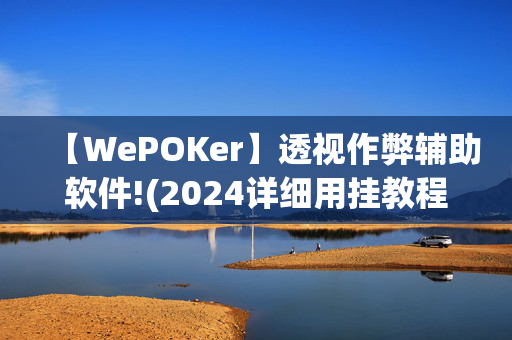 【WePOKer】透视作弊辅助软件!(2024详细用挂教程)