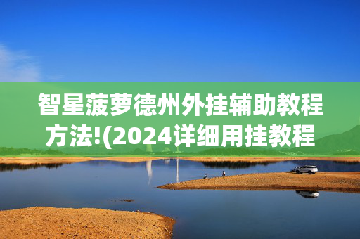 智星菠萝德州外挂辅助教程方法!(2024详细用挂教程)