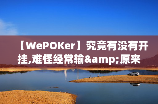 【WePOKer】究竟有没有开挂,难怪经常输&原来有猫腻-哔哩哔哩