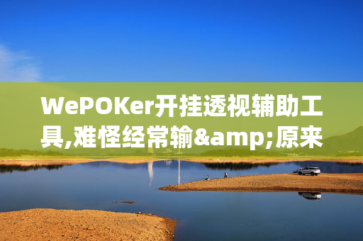 WePOKer开挂透视辅助工具,难怪经常输&原来有猫腻-哔哩哔哩