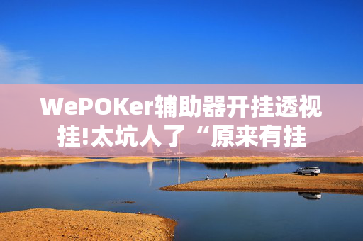 WePOKer辅助器开挂透视挂!太坑人了“原来有挂