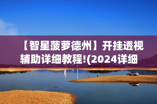 【智星菠萝德州】开挂透视辅助详细教程!(2024详细用挂教程)