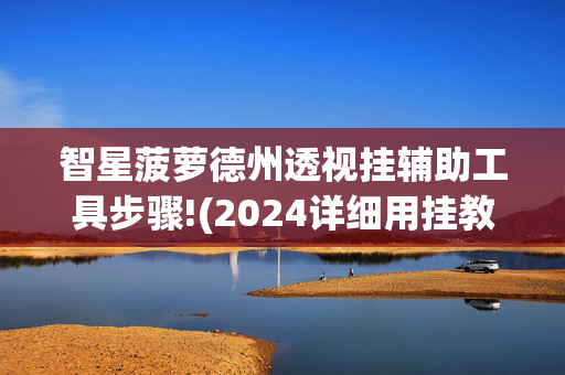 智星菠萝德州透视挂辅助工具步骤!(2024详细用挂教程)