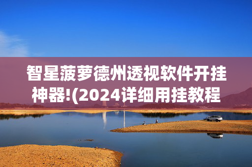 智星菠萝德州透视软件开挂神器!(2024详细用挂教程)