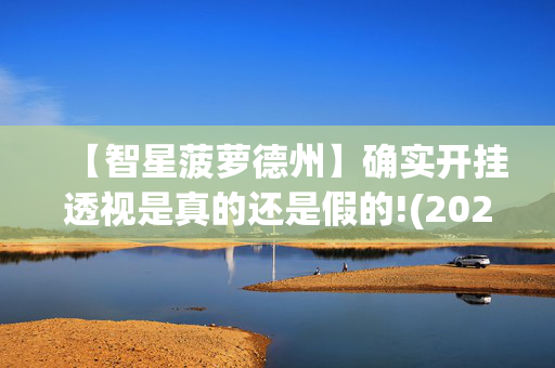 【智星菠萝德州】确实开挂透视是真的还是假的!(2024详细用挂教程)