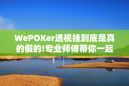 WePOKer透视挂到底是真的假的!专业师傅带你一起了解开挂方法-知乎