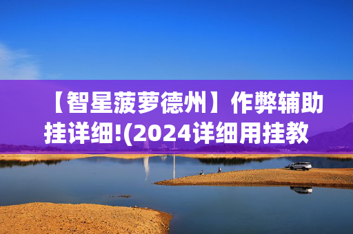 【智星菠萝德州】作弊辅助挂详细!(2024详细用挂教程)