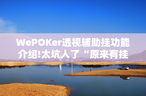 WePOKer透视辅助挂功能介绍!太坑人了“原来有挂