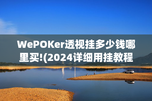 WePOKer透视挂多少钱哪里买!(2024详细用挂教程)