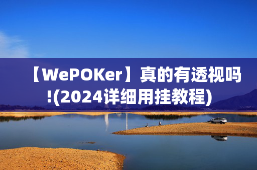 【WePOKer】真的有透视吗!(2024详细用挂教程)