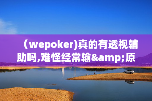 （wepoker)真的有透视辅助吗,难怪经常输&原来有猫腻-哔哩哔哩