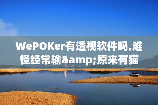 WePOKer有透视软件吗,难怪经常输&原来有猫腻-哔哩哔哩