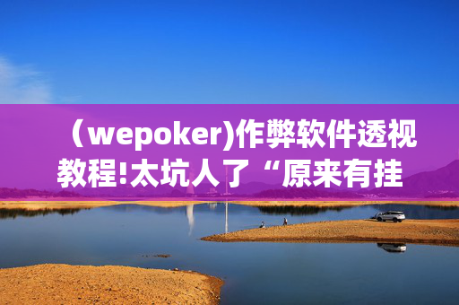 （wepoker)作弊软件透视教程!太坑人了“原来有挂