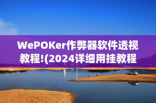 WePOKer作弊器软件透视教程!(2024详细用挂教程)