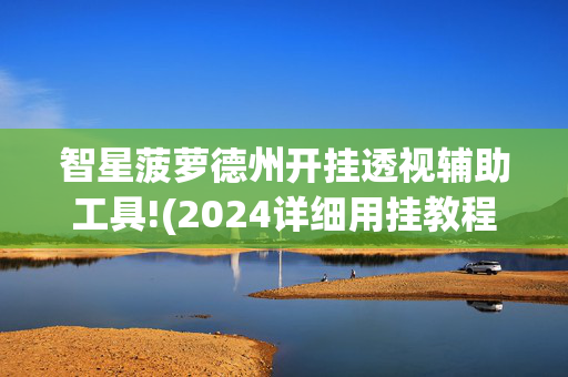 智星菠萝德州开挂透视辅助工具!(2024详细用挂教程)