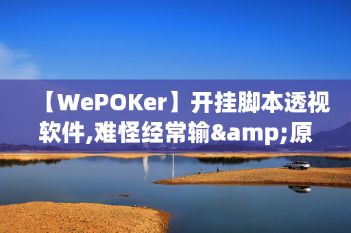 【WePOKer】开挂脚本透视软件,难怪经常输&原来有猫腻-哔哩哔哩