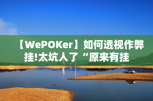 【WePOKer】如何透视作弊挂!太坑人了“原来有挂