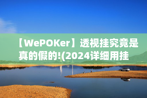 【WePOKer】透视挂究竟是真的假的!(2024详细用挂教程)