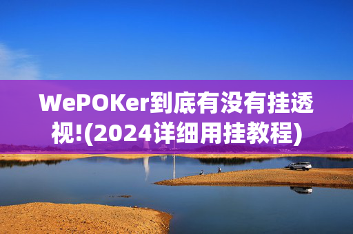 WePOKer到底有没有挂透视!(2024详细用挂教程)