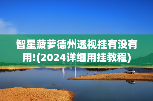 智星菠萝德州透视挂有没有用!(2024详细用挂教程)