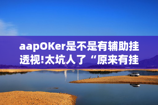 aapOKer是不是有辅助挂透视!太坑人了“原来有挂