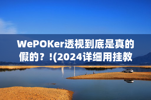 WePOKer透视到底是真的假的？!(2024详细用挂教程)