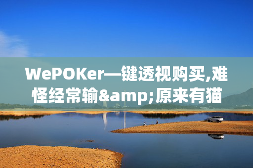 WePOKer—键透视购买,难怪经常输&原来有猫腻-哔哩哔哩