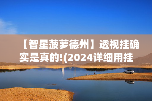 【智星菠萝德州】透视挂确实是真的!(2024详细用挂教程)