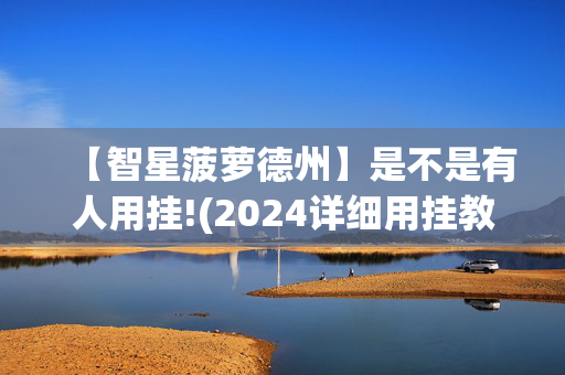 【智星菠萝德州】是不是有人用挂!(2024详细用挂教程)