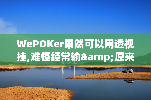 WePOKer果然可以用透视挂,难怪经常输&原来有猫腻-哔哩哔哩